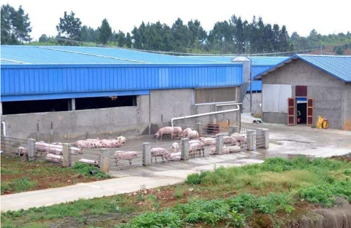 河北保定某郊區(qū)養(yǎng)豬場凈水項(xiàng)目